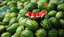 阳江网红吃瓜事件真相,揭秘背后真相与网络舆论的反思